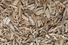 biomass boilers Wittering